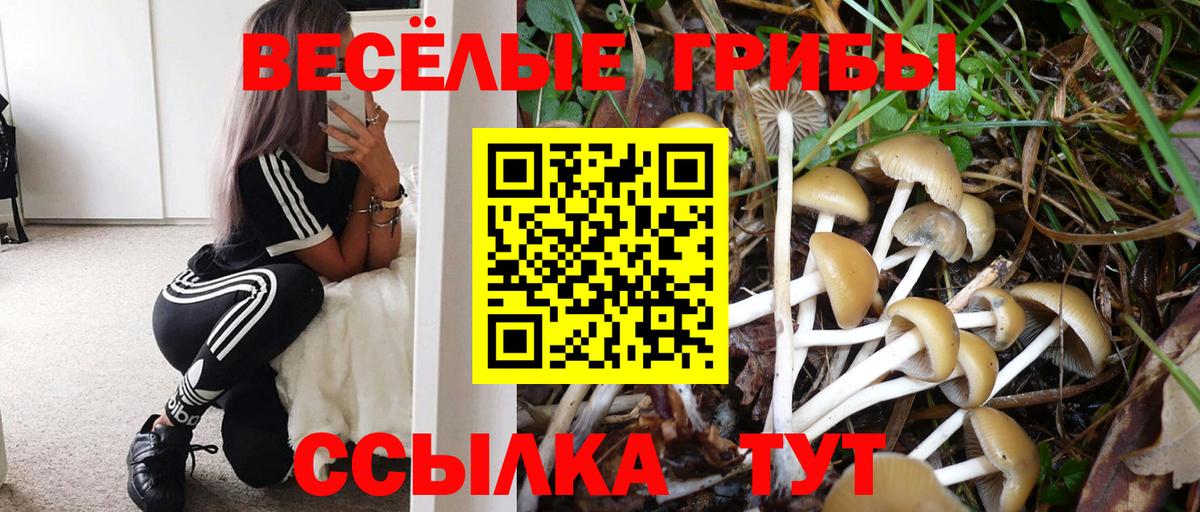 Галлюциногенные грибы Cubensis  Вход с VPN  Галлюциногенные грибы мицелий  Ахтубинск 